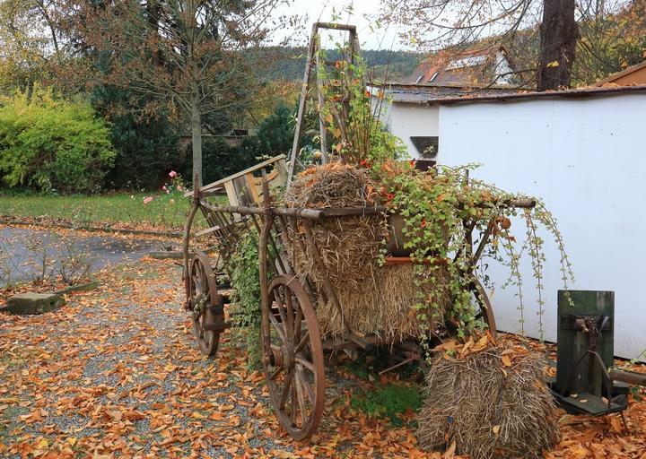 Gaststatte Und Pension Rosengarten